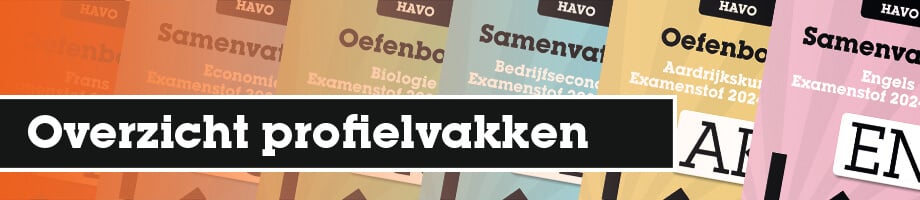 Overzicht profielvakken